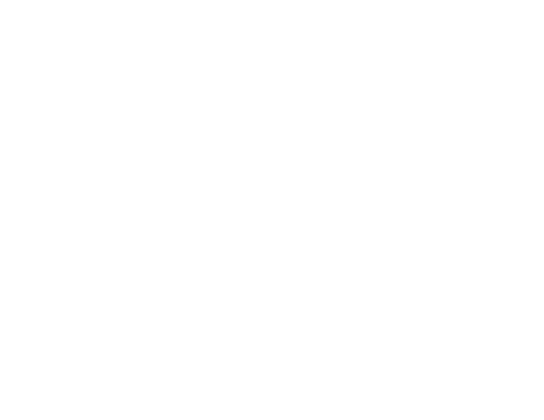 Logotipo AIRP-02
